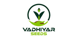 Vadhiyar